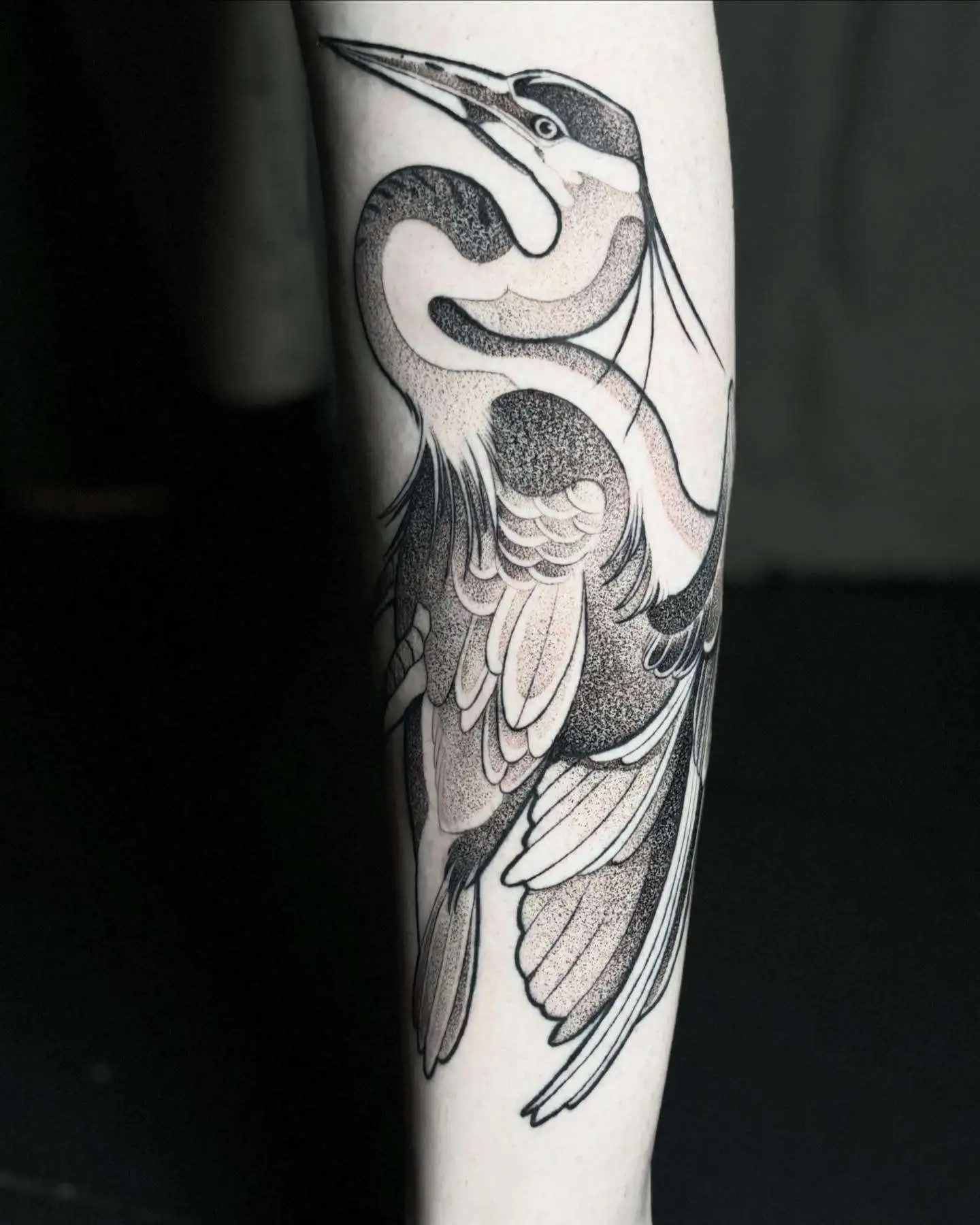 Tatouage par Valentine Antoinette Copyright Calvanostra