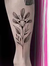 Tatouage par Boris le Piaf Copyright Calvanostra