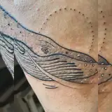 Tatouage par Lady Venus Copyright Calvanostra