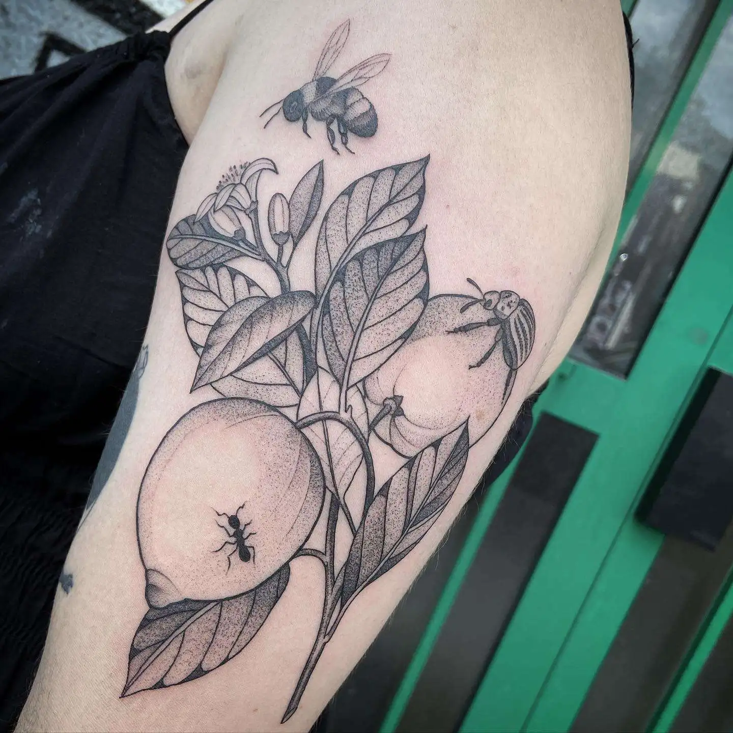 Tatouage par Valentine Antoinette Copyright Calvanostra