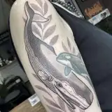 Tatouage par Valentine Antoinette Copyright Calvanostra