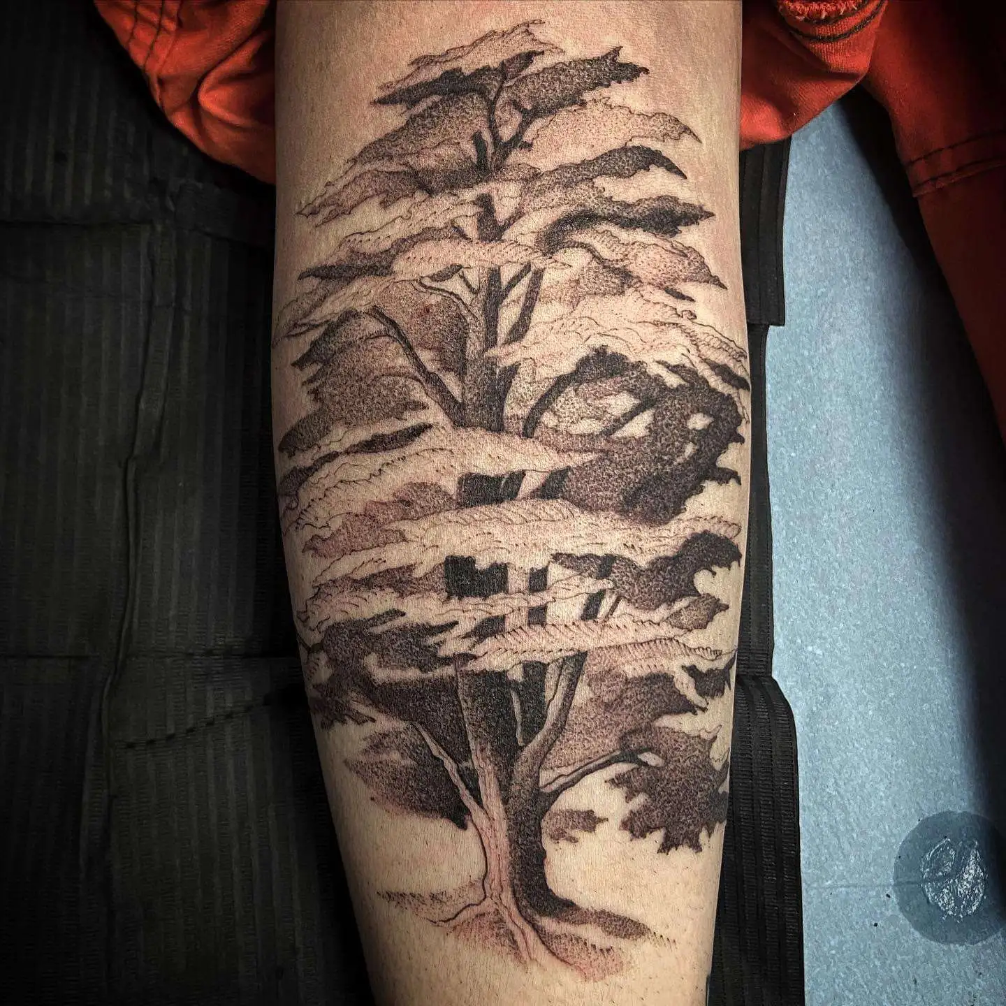 Tatouage par Valentine Antoinette Copyright Calvanostra