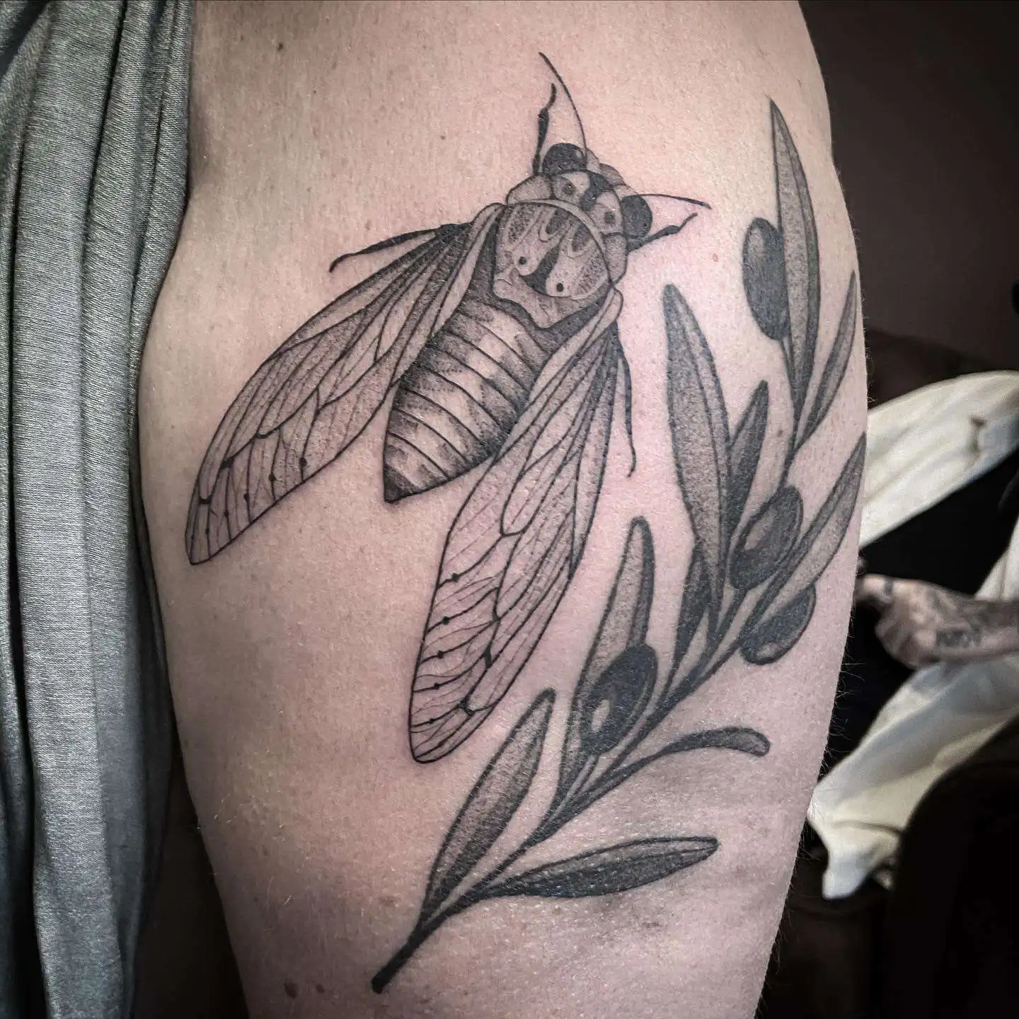 Tatouage par Valentine Antoinette Copyright Calvanostra