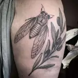 Tatouage par Valentine Antoinette Copyright Calvanostra