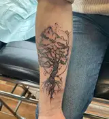 Tatouage par Karl Copyright Calvanostra