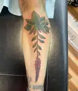 Tatouage par Karl Copyright Calvanostra